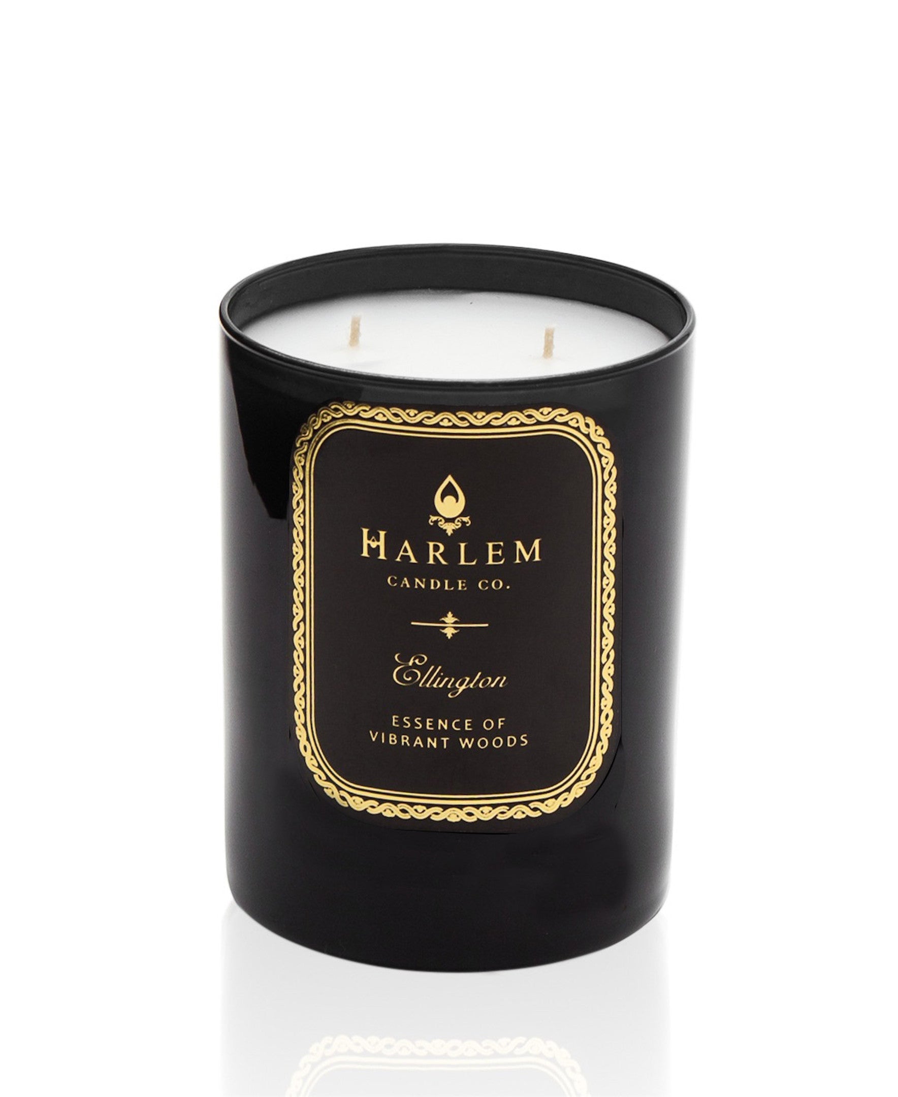 Our black Ellington 12 oz 2 wick candle with essence of vibrant woods on a white background.