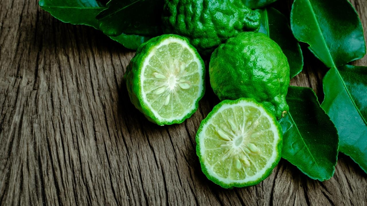 Featured Scent: What Does Bergamot Smell Like?