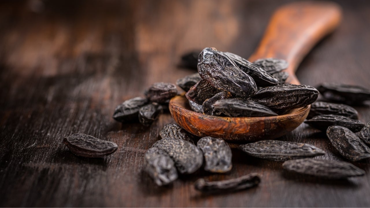 Featured Scent: What Does Tonka Bean Smell Like?