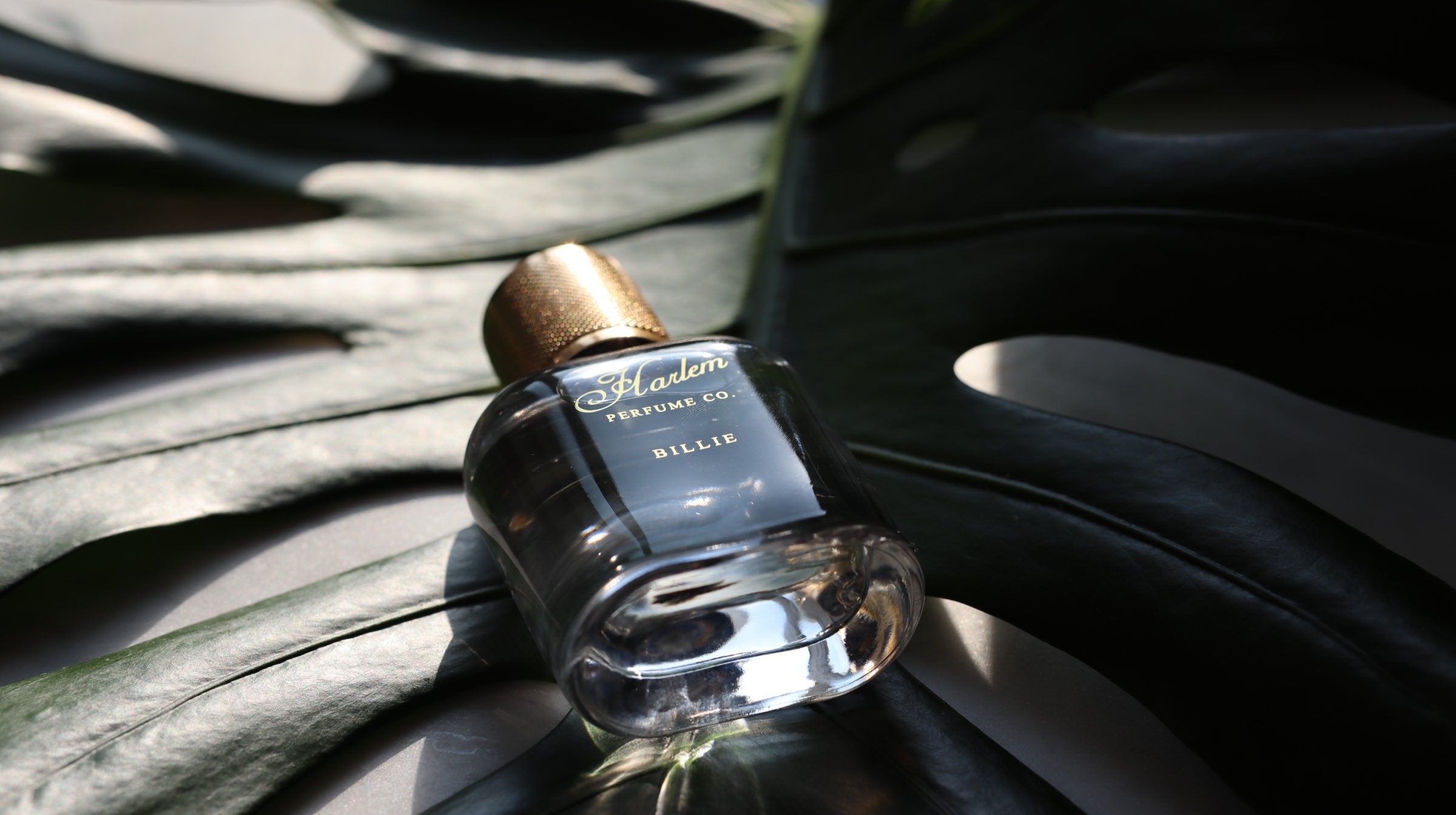 This is a Lifestyle image of our Billie 50 ml bottle laying on a green leaf.