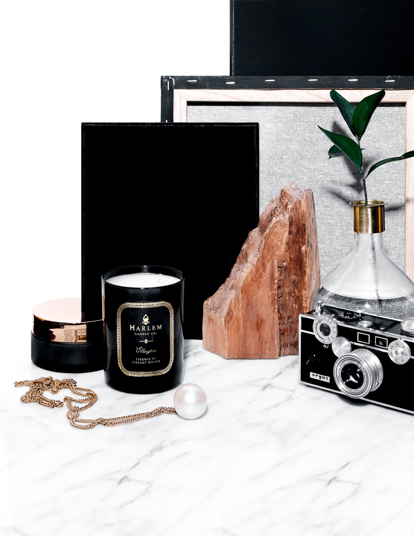 A gorgeous lifestyle image of our black Ellington 12 oz 2 wick candle sitting on a marble table in front of black framed images, an antique black camera and a glass vase with leafy greens.